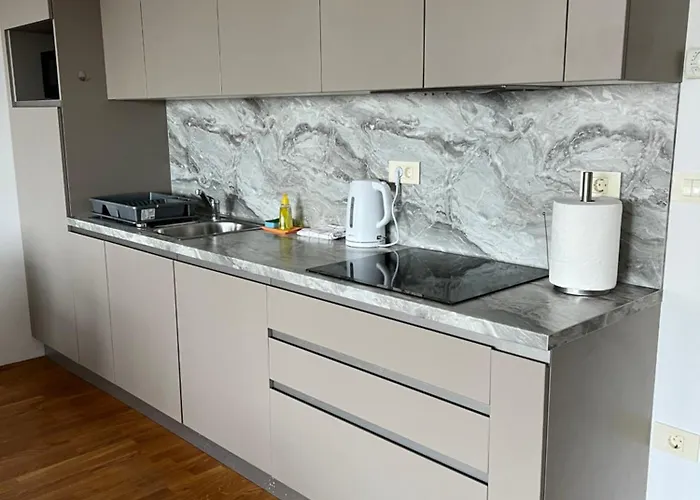 公寓 Apartma Comfort 科佩尔