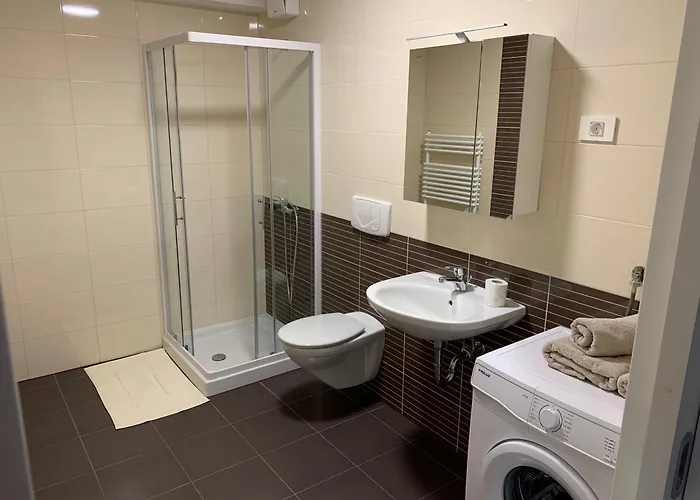 Apartma Comfort 公寓