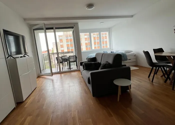 Apartma Comfort 公寓 *